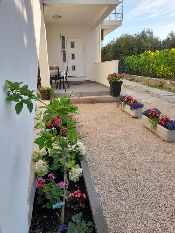 Apartmani Sara Bibinje Exterior photo