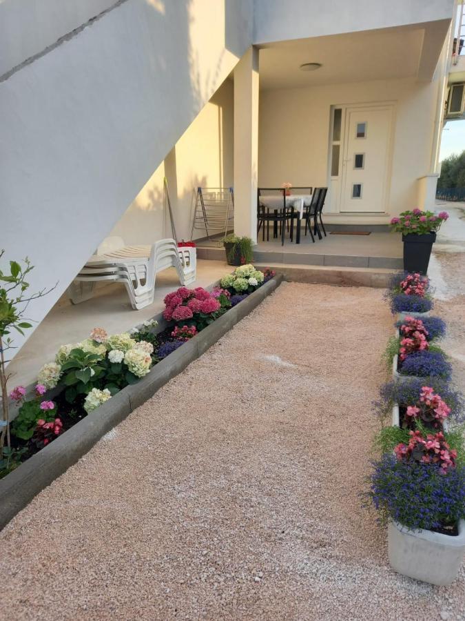 Apartmani Sara Bibinje Exterior photo
