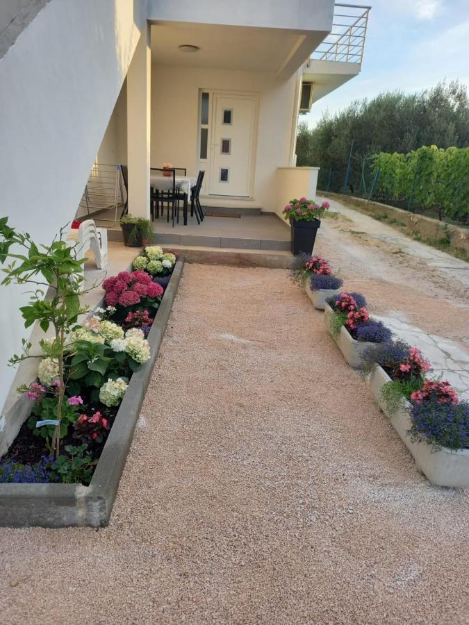 Apartmani Sara Bibinje Exterior photo