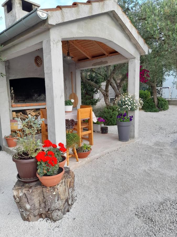 Apartmani Sara Bibinje Exterior photo
