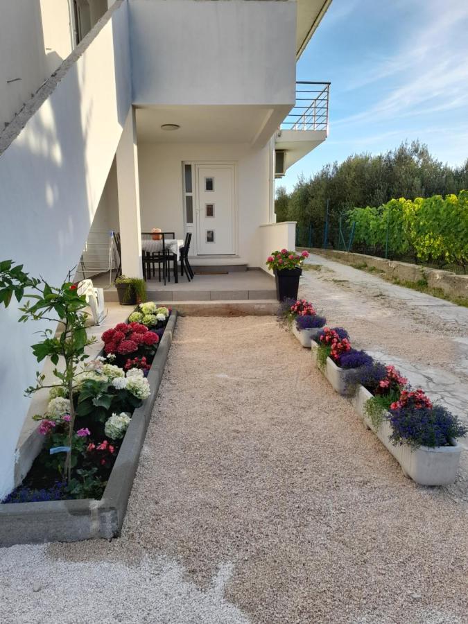 Apartmani Sara Bibinje Exterior photo